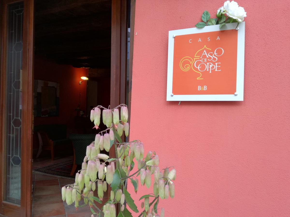 Casa Asso Di Coppe B&B Alba Kültér fotó